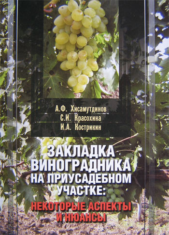 Закладка виноградника на приусадебном участке