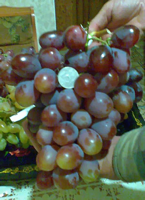 Граф Монте Кристо гроздь  винограда